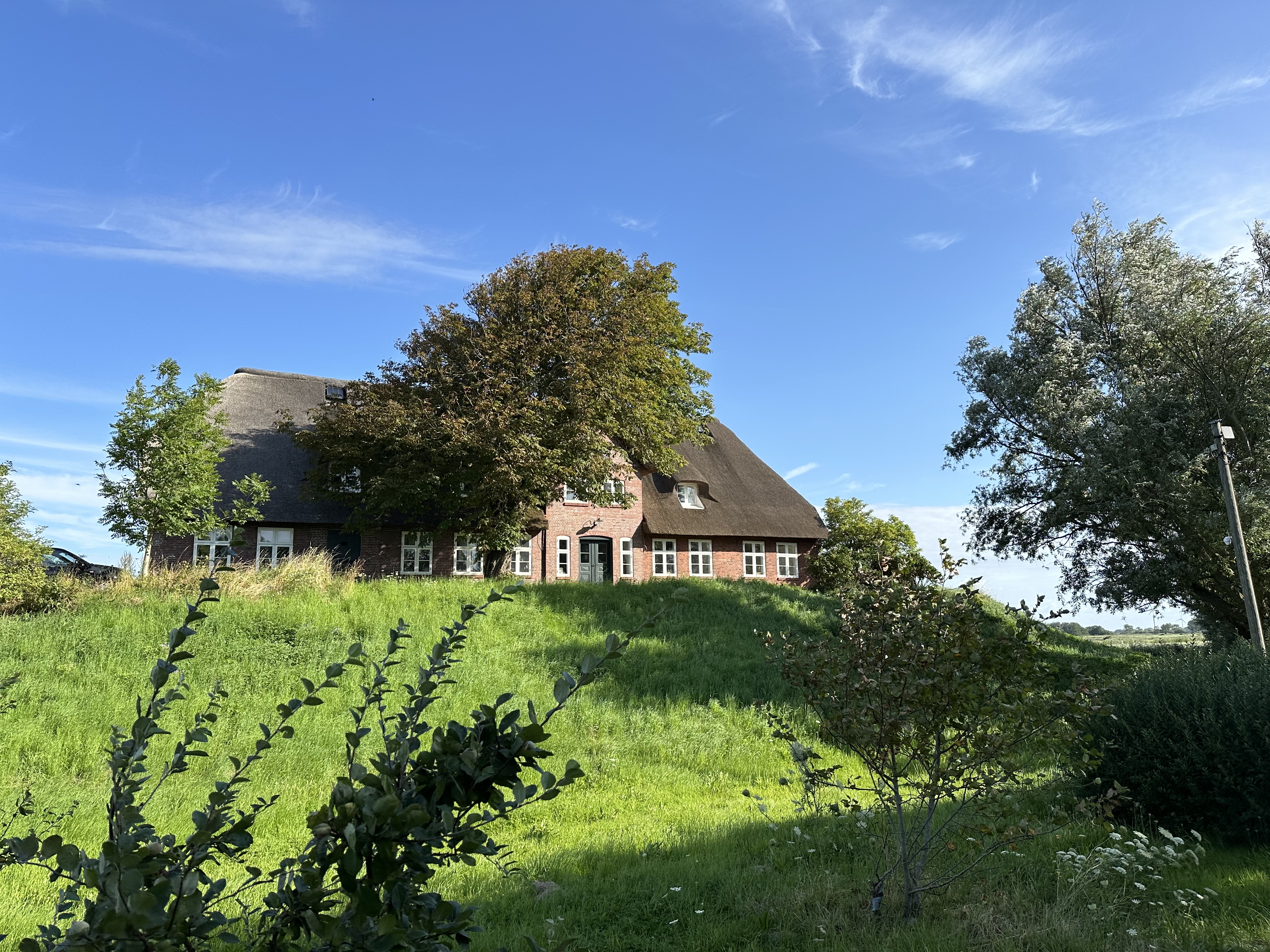 Catharinenwarft
